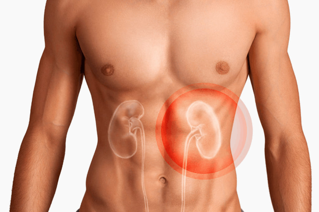 Требования к донарам почки замена почки